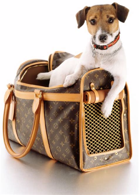 lv color for dogs|Louis Vuitton's Luxury Dog Line: A Paw .